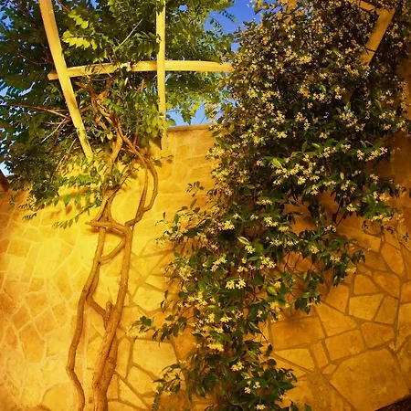 Jasmin *