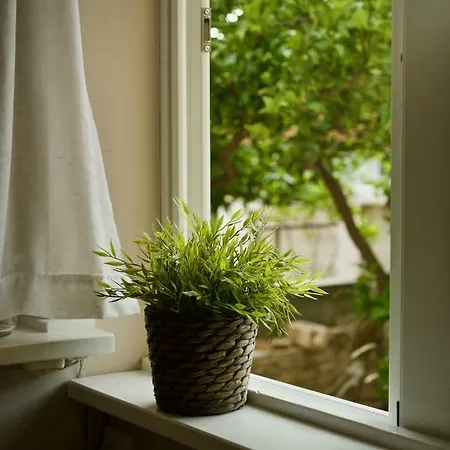 Apartman Jasmin