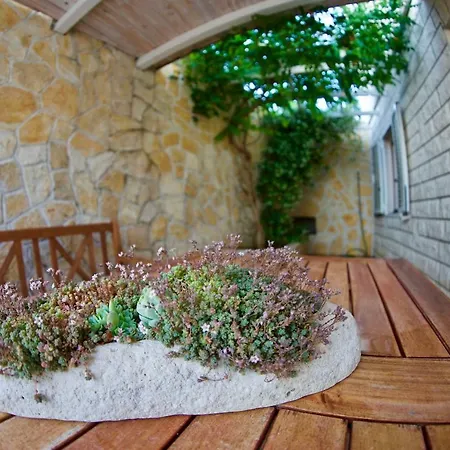 Jasmin Apartman
